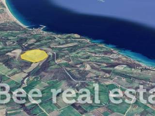 Άποψη εξωτερικού χώρου