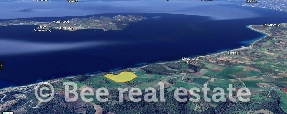 Άποψη εξωτερικού χώρου