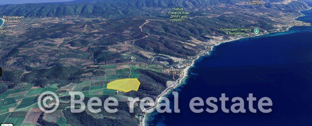 Άποψη εξωτερικού χώρου