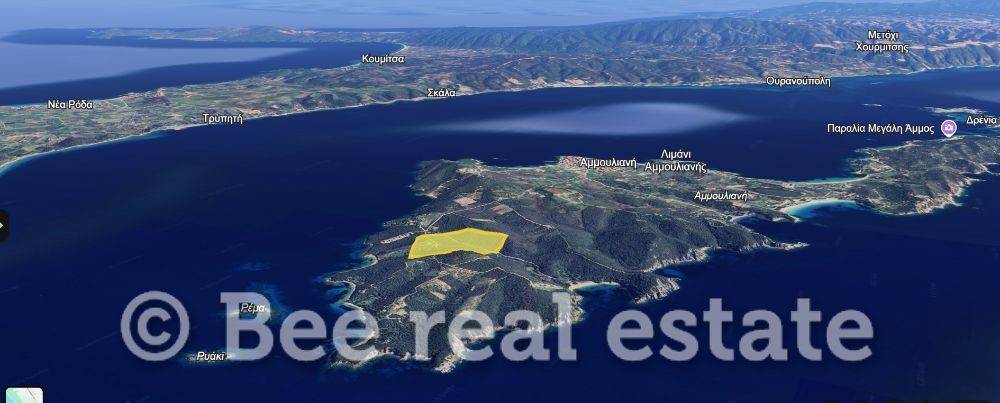 Άποψη εξωτερικού χώρου