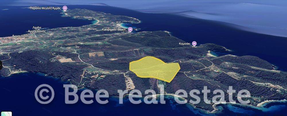 Άποψη εξωτερικού χώρου