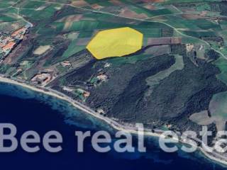 Άποψη εξωτερικού χώρου