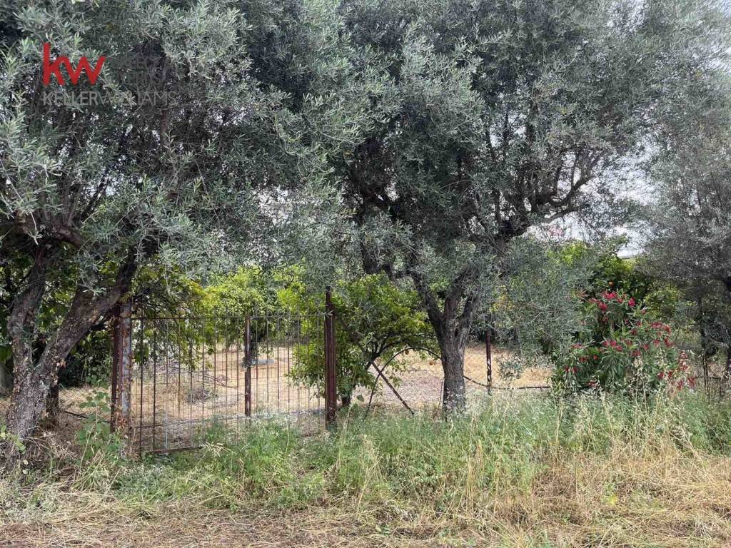 Εξωτερικοι χώροι