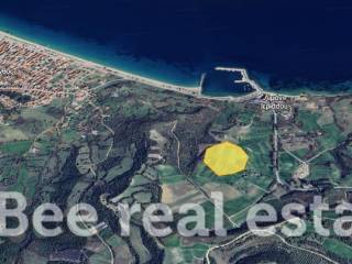 Άποψη εξωτερικού χώρου