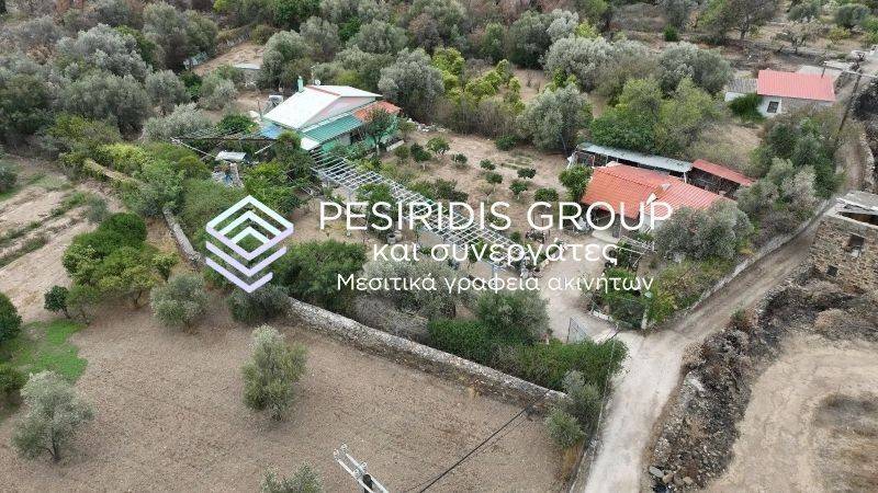 Ύπαρξη ανθρώπου