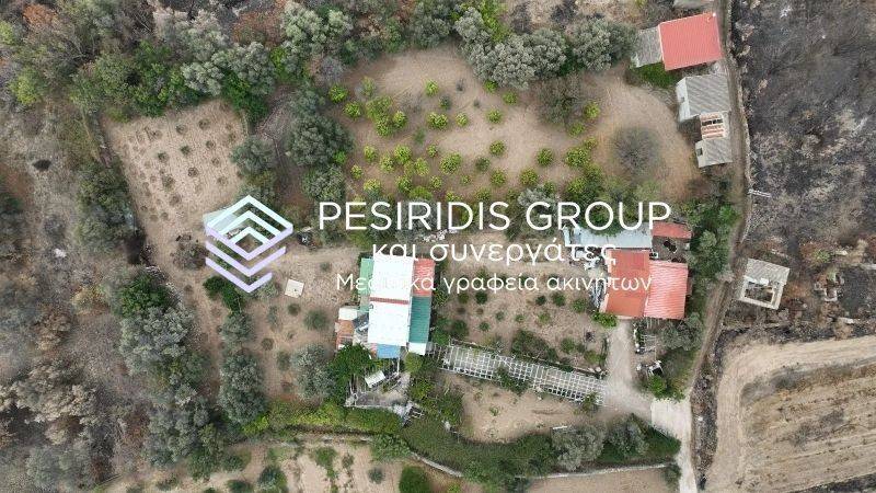 Ύπαρξη ανθρώπου