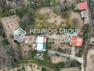 Ύπαρξη ανθρώπου