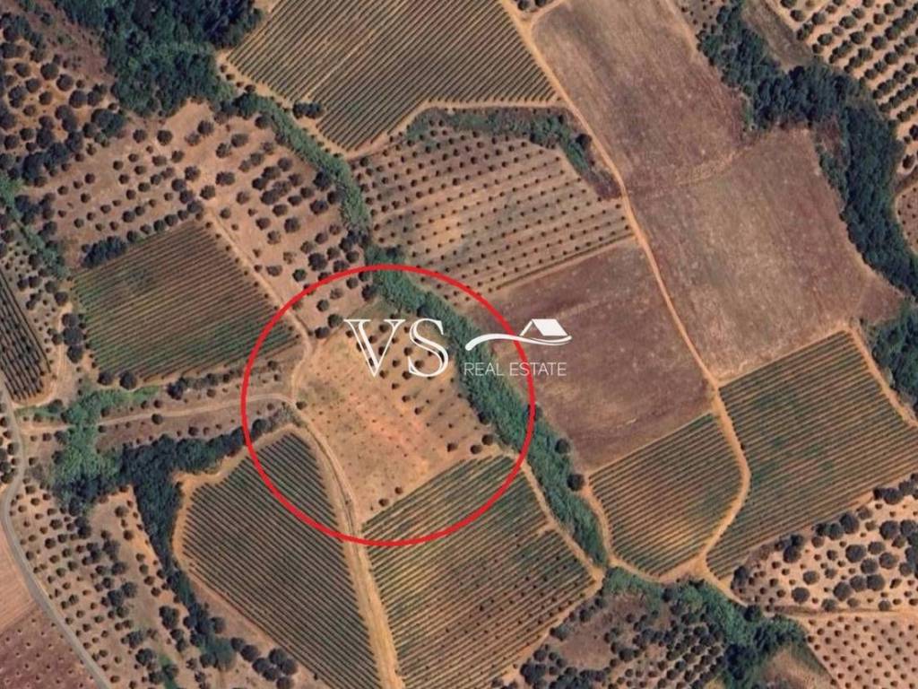 ΑΠΟΨΗ ΑΓΡΟΤΕΜΑΧΙΟΥ