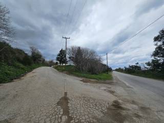 Plot - Grekodom 65233|1043430