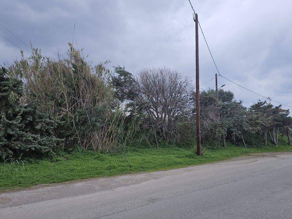 Plot - Grekodom 65233|1043433