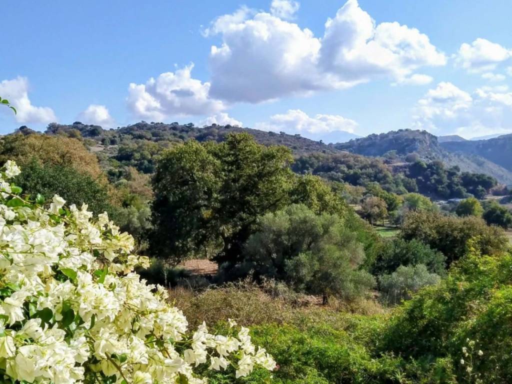 Θέα από μπαλκόνι