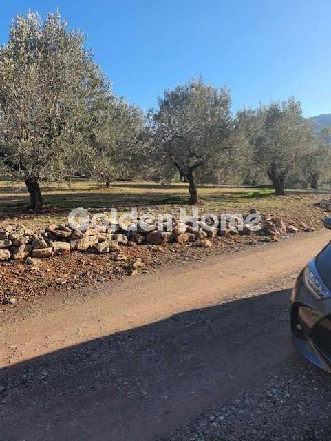 Εξωτερικός Χώρος