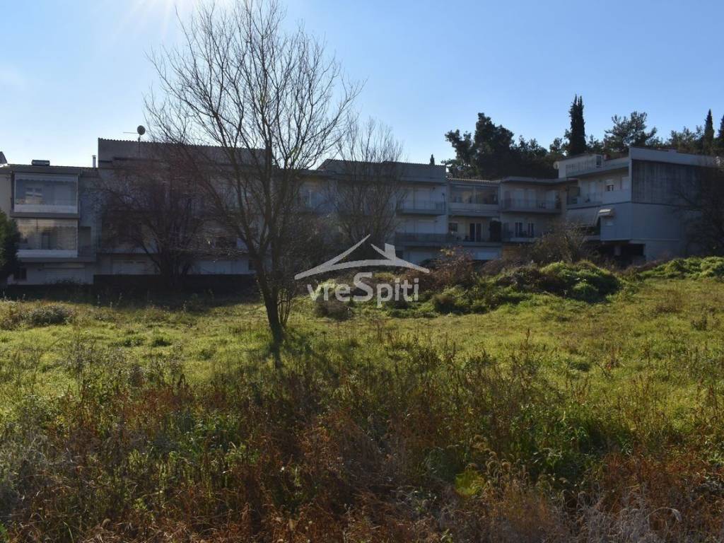 ΑΠΟΨΗ ΑΚΙΝΗΤΟΥ