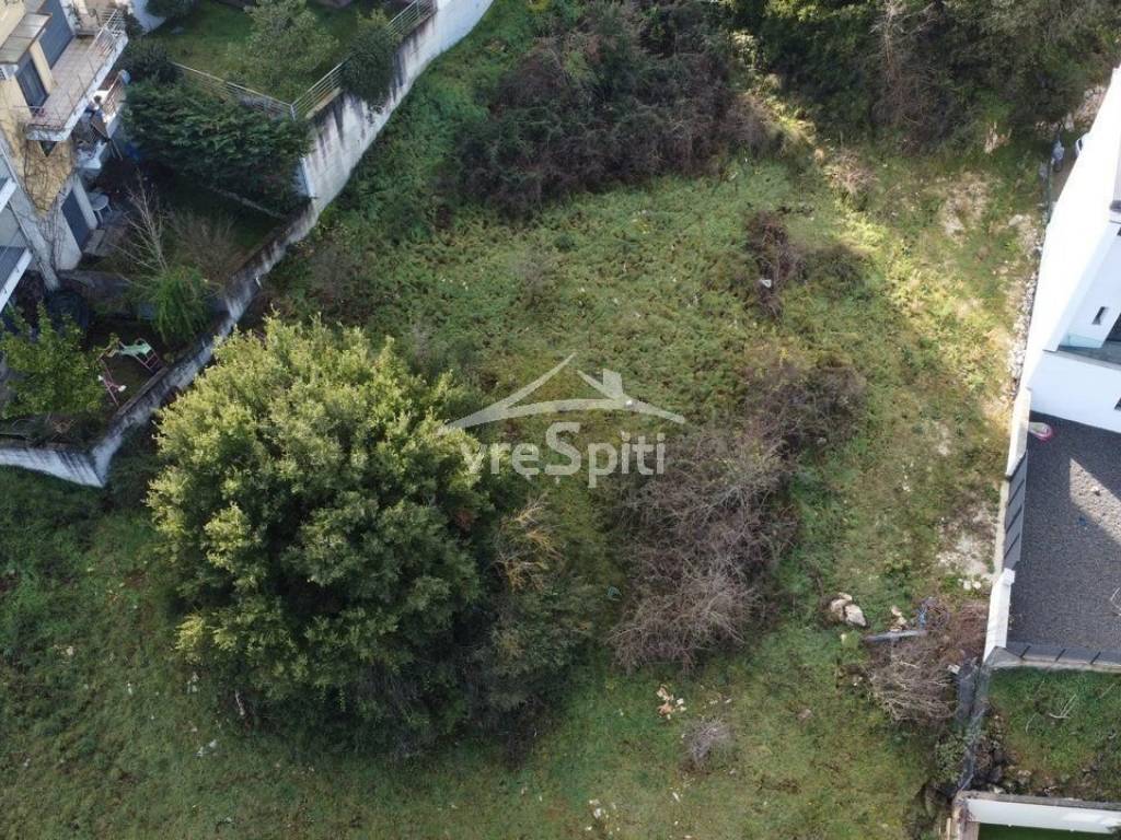 ΑΠΟΨΗ ΟΙΚΟΠΕΔΟΥ