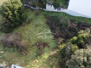 ΑΠΟΨΗ ΟΙΚΟΠΕΔΟΥ