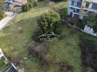 ΑΠΟΨΗ ΟΙΚΟΠΕΔΟΥ