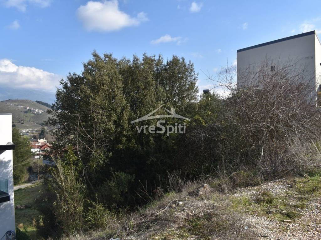 ΑΠΟΨΗ ΟΙΚΟΠΕΔΟΥ