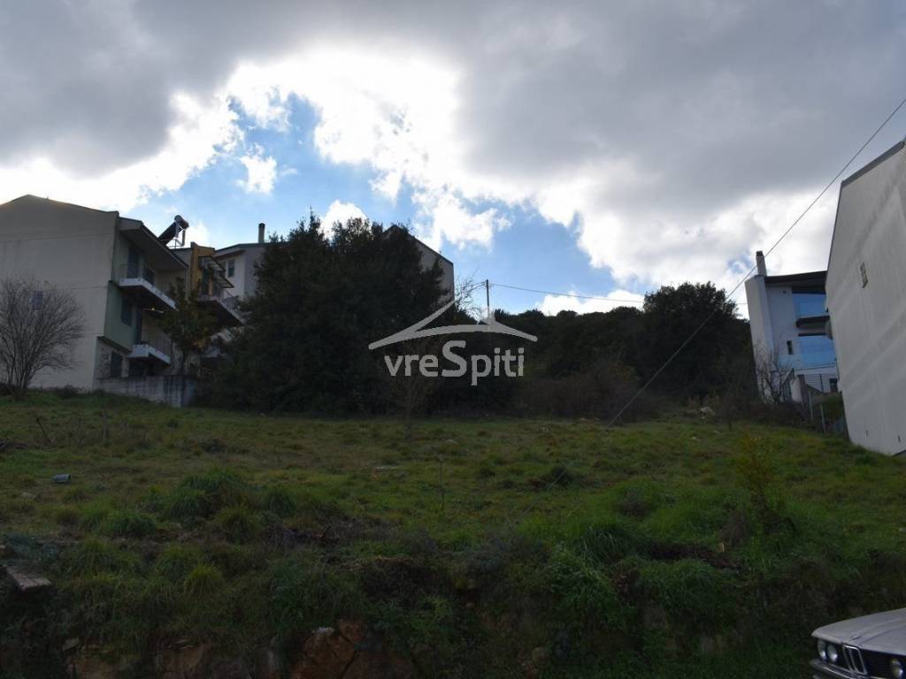 ΑΠΟΨΗ ΟΙΚΟΠΕΔΟΥ