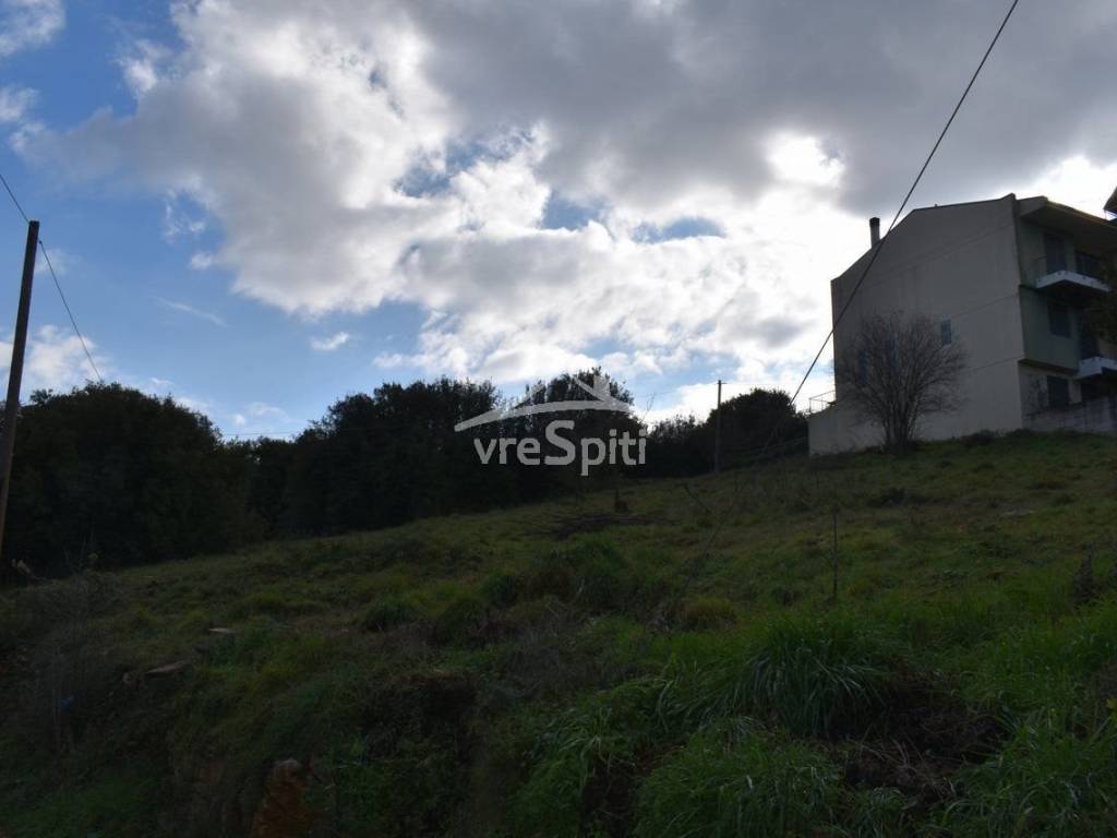 ΑΠΟΨΗ ΟΙΚΟΠΕΔΟΥ