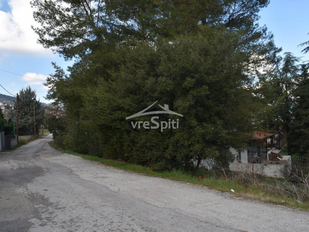 ΑΠΟΨΗ ΟΙΚΟΠΕΔΟΥ