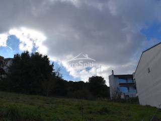 ΑΠΟΨΗ ΟΙΚΟΠΕΔΟΥ