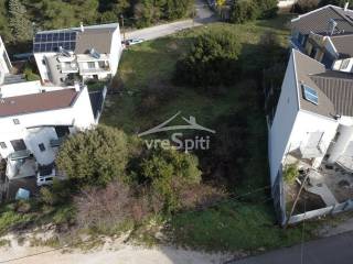 ΑΠΟΨΗ ΟΙΚΟΠΕΔΟΥ