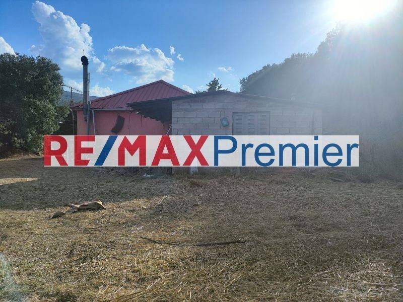 Ύπαρξη ανθρώπου