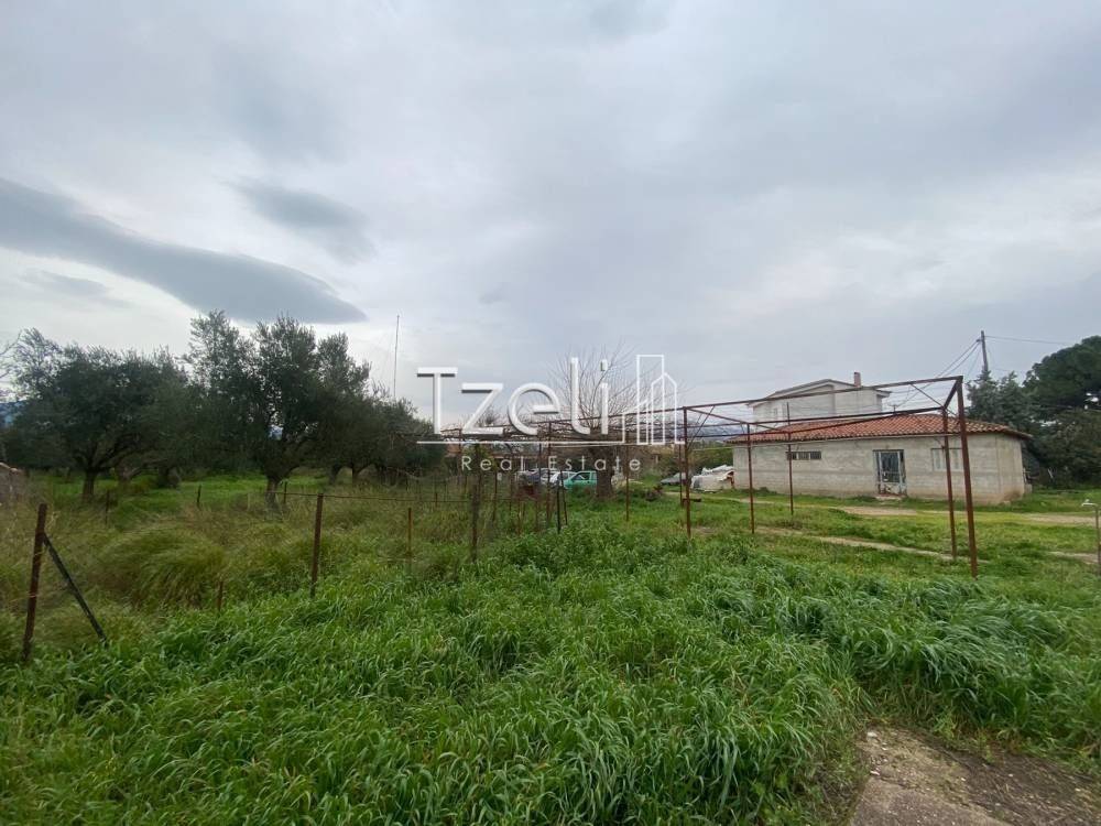 Άποψη οικοπέδου