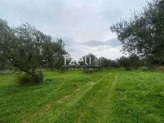 Άποψη οικοπέδου