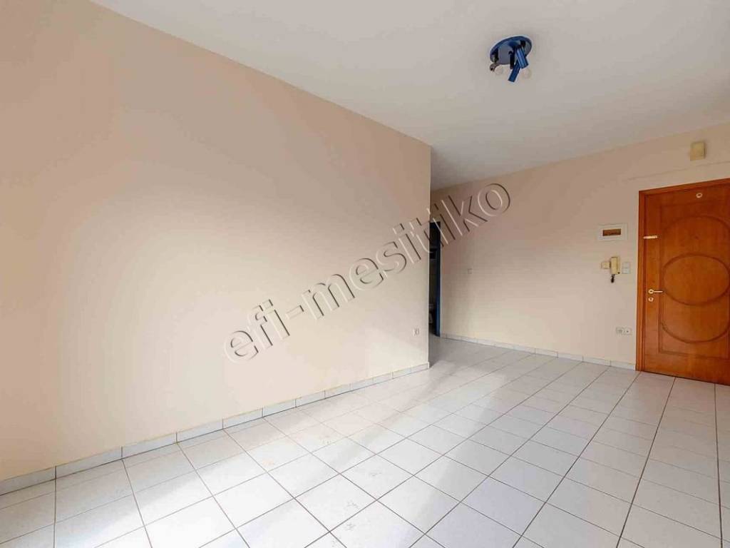 Σαλοκουζίνα