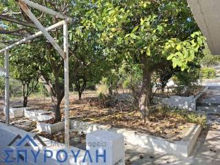 Εξωτερικοι χώροι