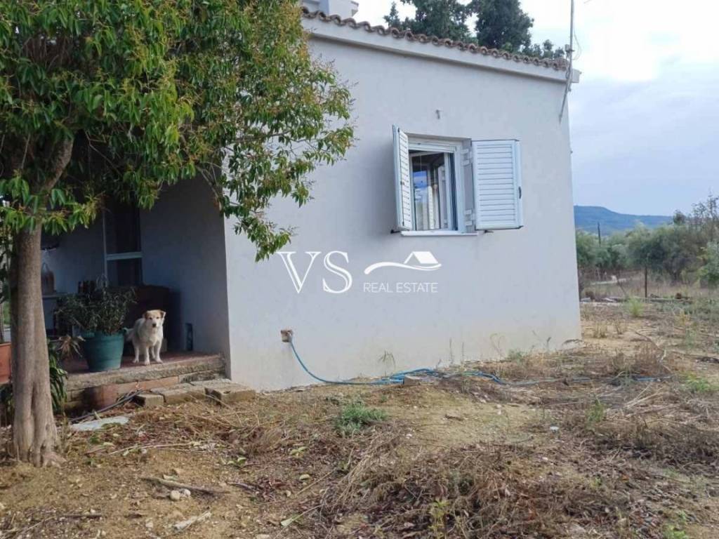 Άποψη χώρου