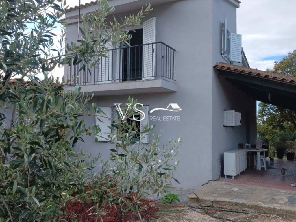 Άποψη χώρου