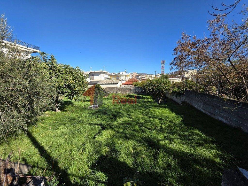 Εξωτερικοι χώροι