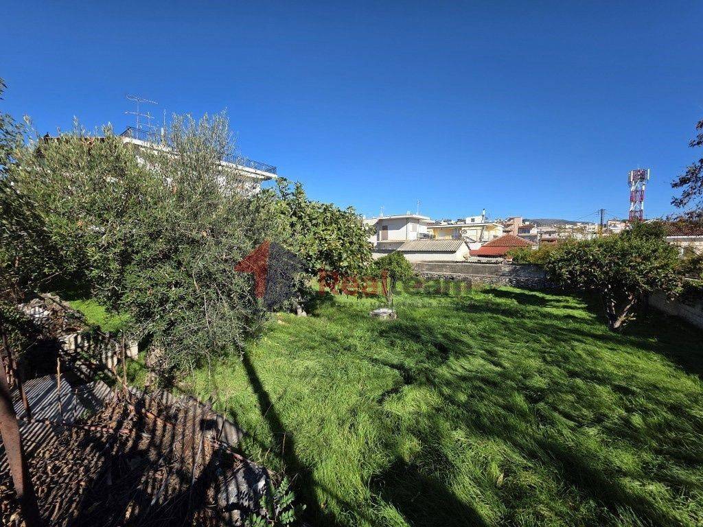 Εξωτερικοι χώροι