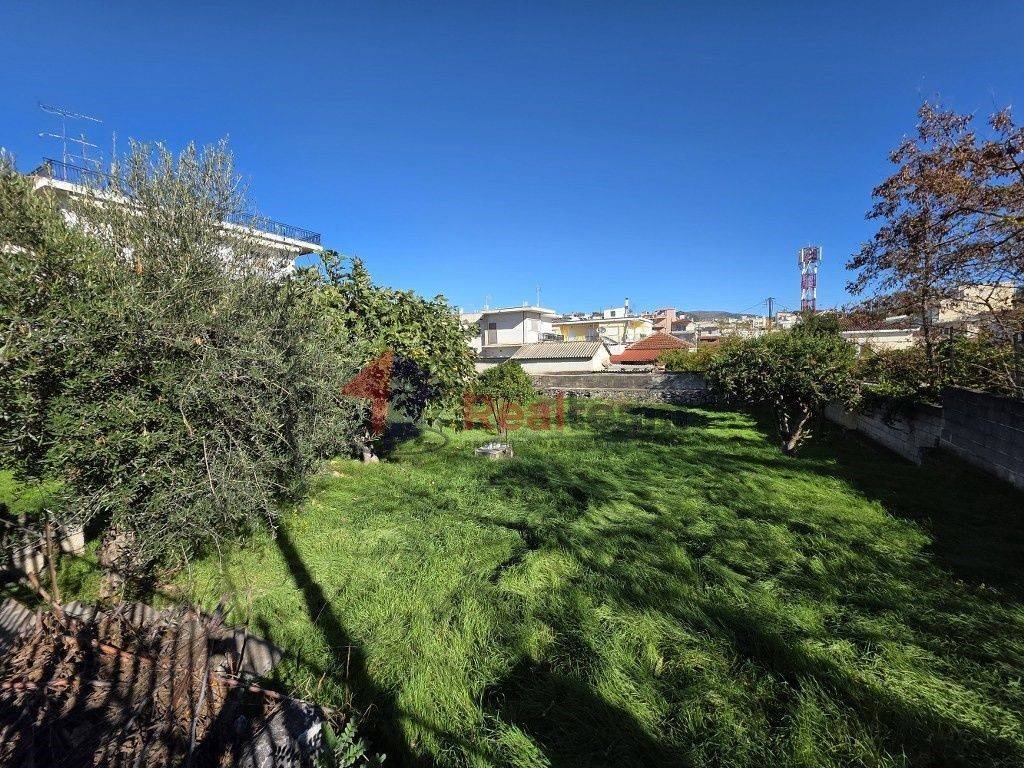 Εξωτερικοι χώροι