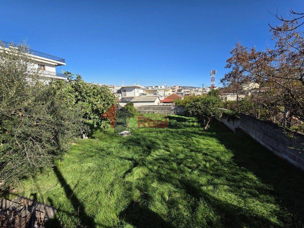 Εξωτερικοι χώροι