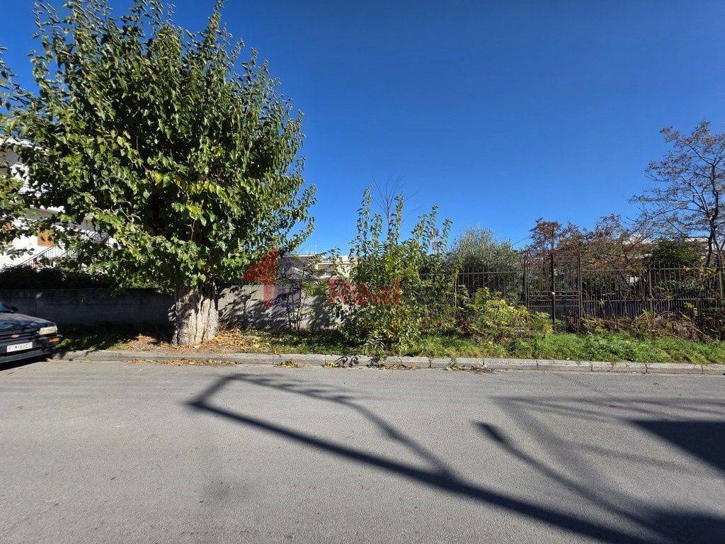 Εξωτερικοι χώροι