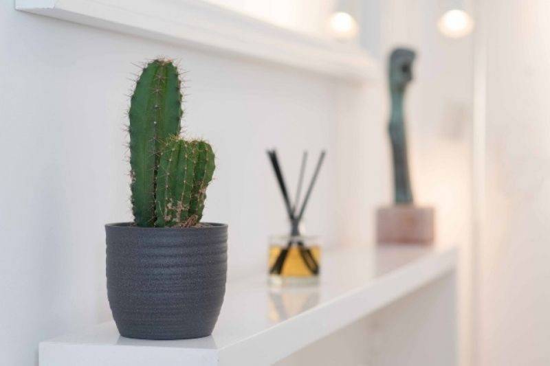 Ύπαρξη ανθρώπου