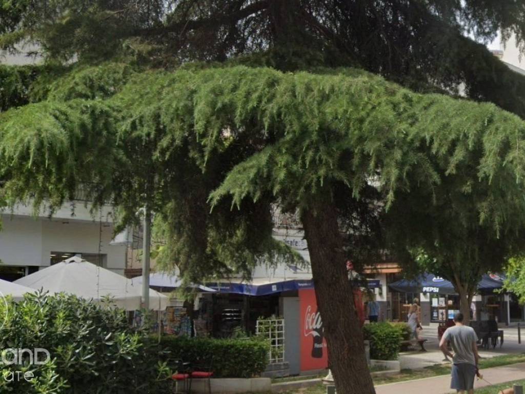 Forumland Real Estate, Κατάστημα