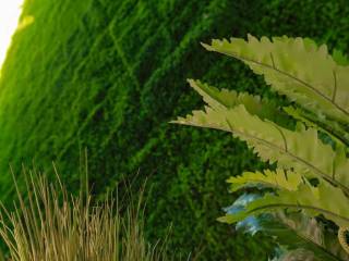 THea diamerismatos ston esoteriko kepo.