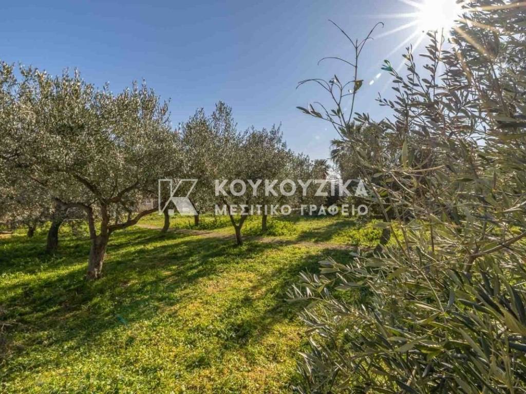 Εξωτερικός χώρος