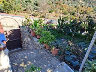 Ύπαρξη ανθρώπου