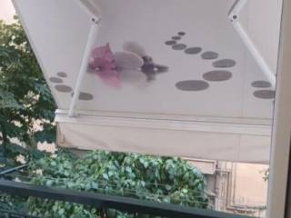 Apartment - Grekodom 65259|1043798