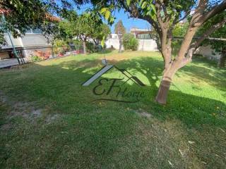 Άποψη Οικοπέδου