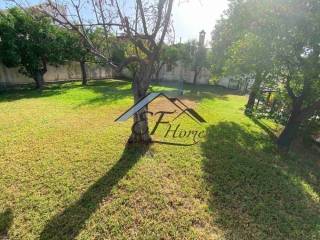 Άποψη Οικοπέδου