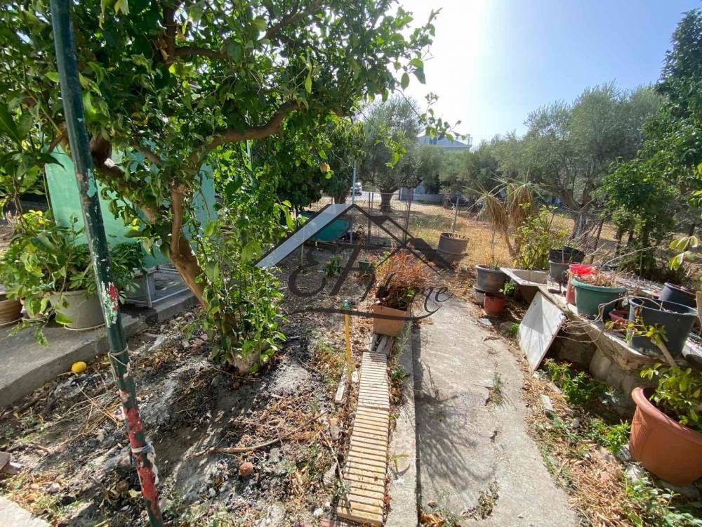 Άποψη Οικοπέδου