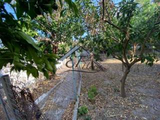 Άποψη Οικοπέδου