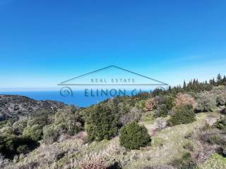 Η θέα από το κτήμα