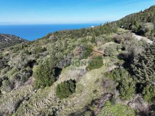 Η θέα από το κτήμα